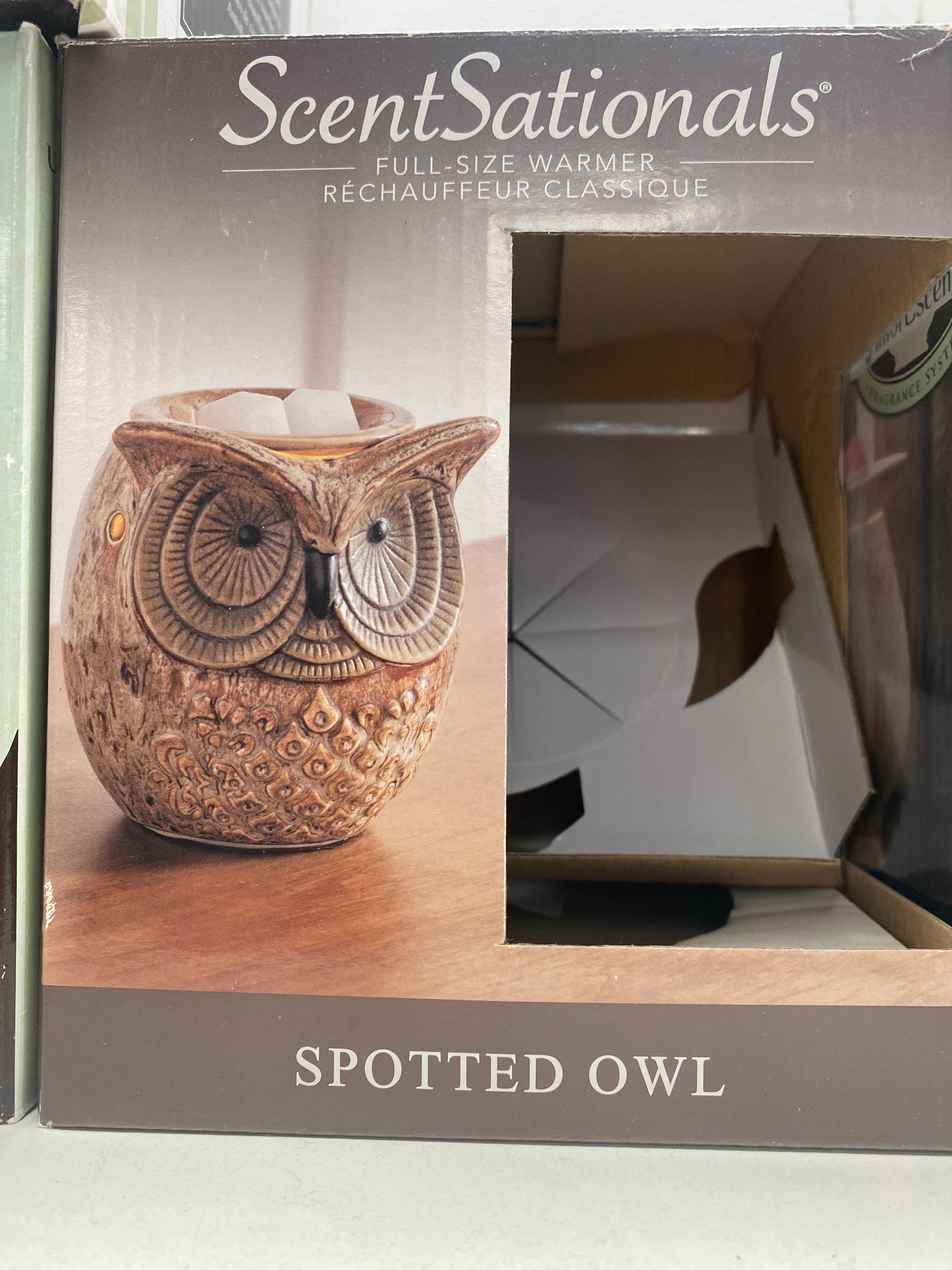 Spotted owl scent warmer