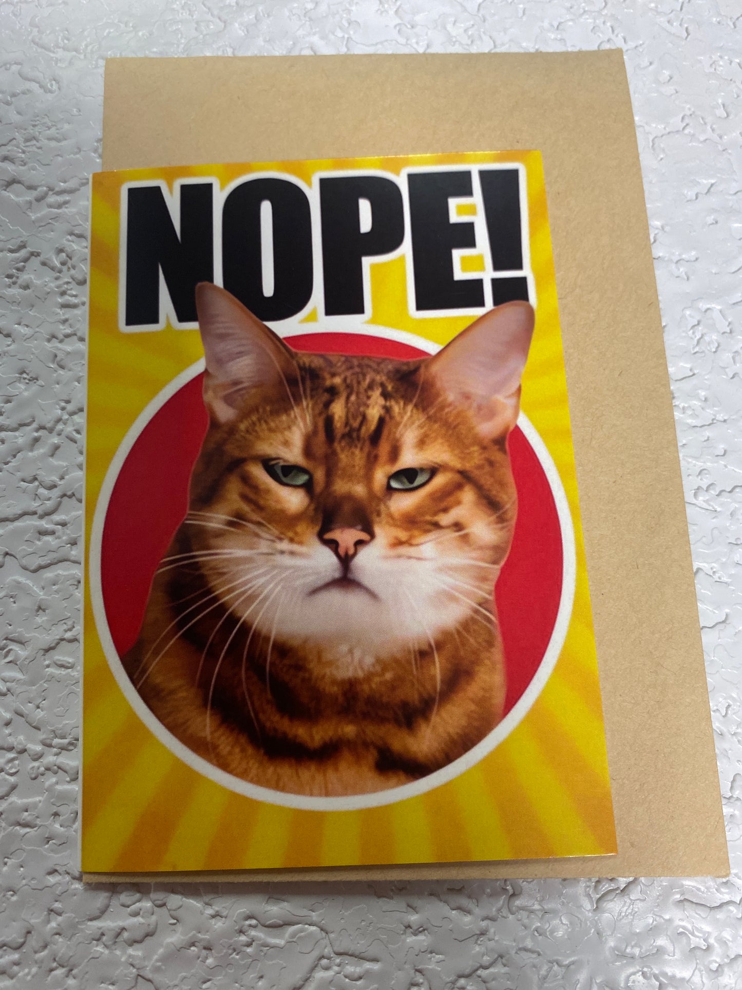CAT HUMOR GREETING CARD