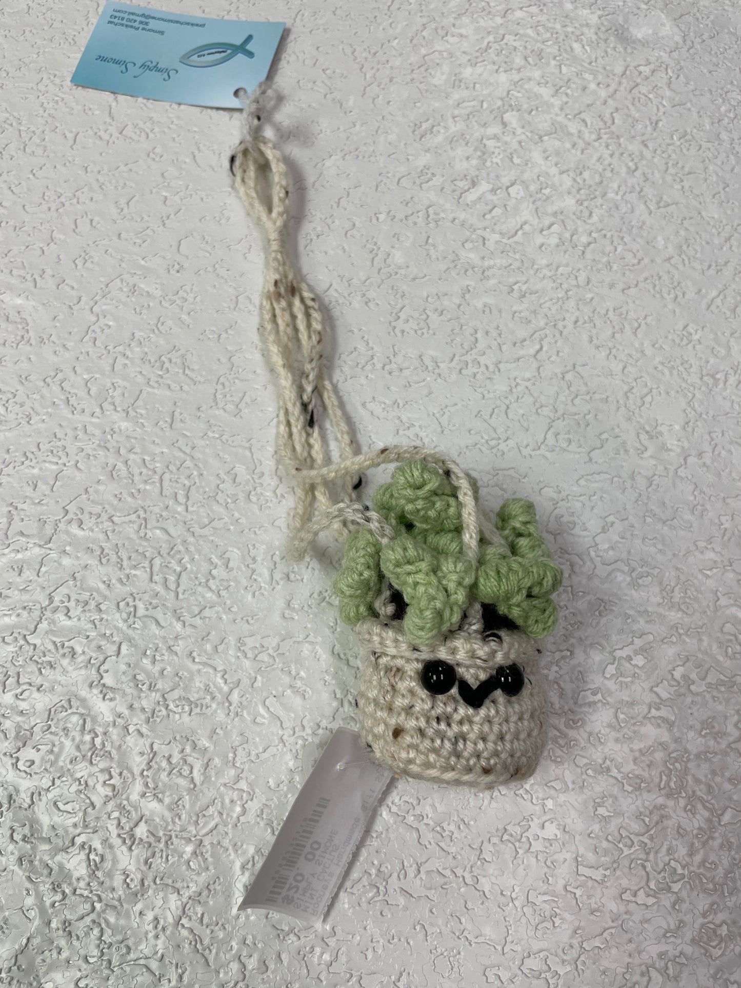 MINI CACTUS