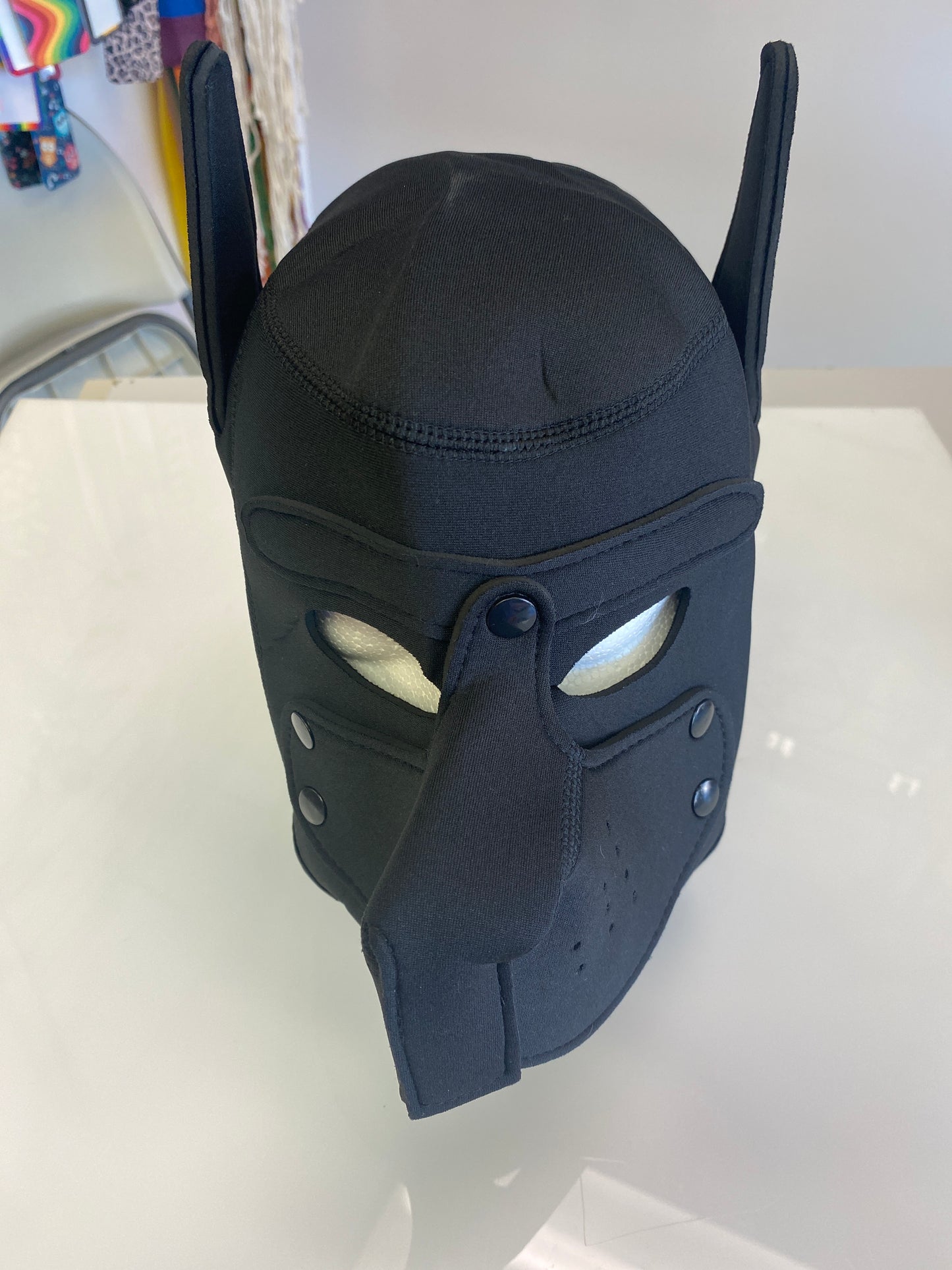 BLACK DOG HEAD MASK