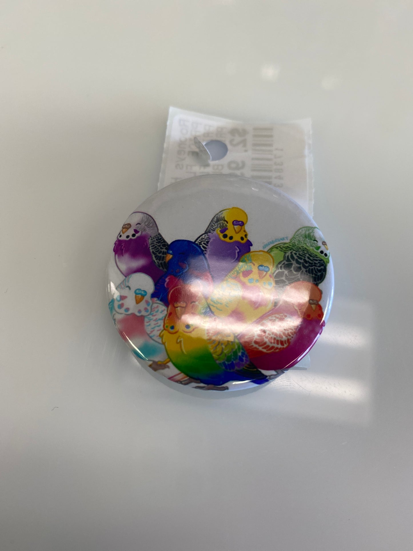PRIDE FLAGS BIRDS BUTTON