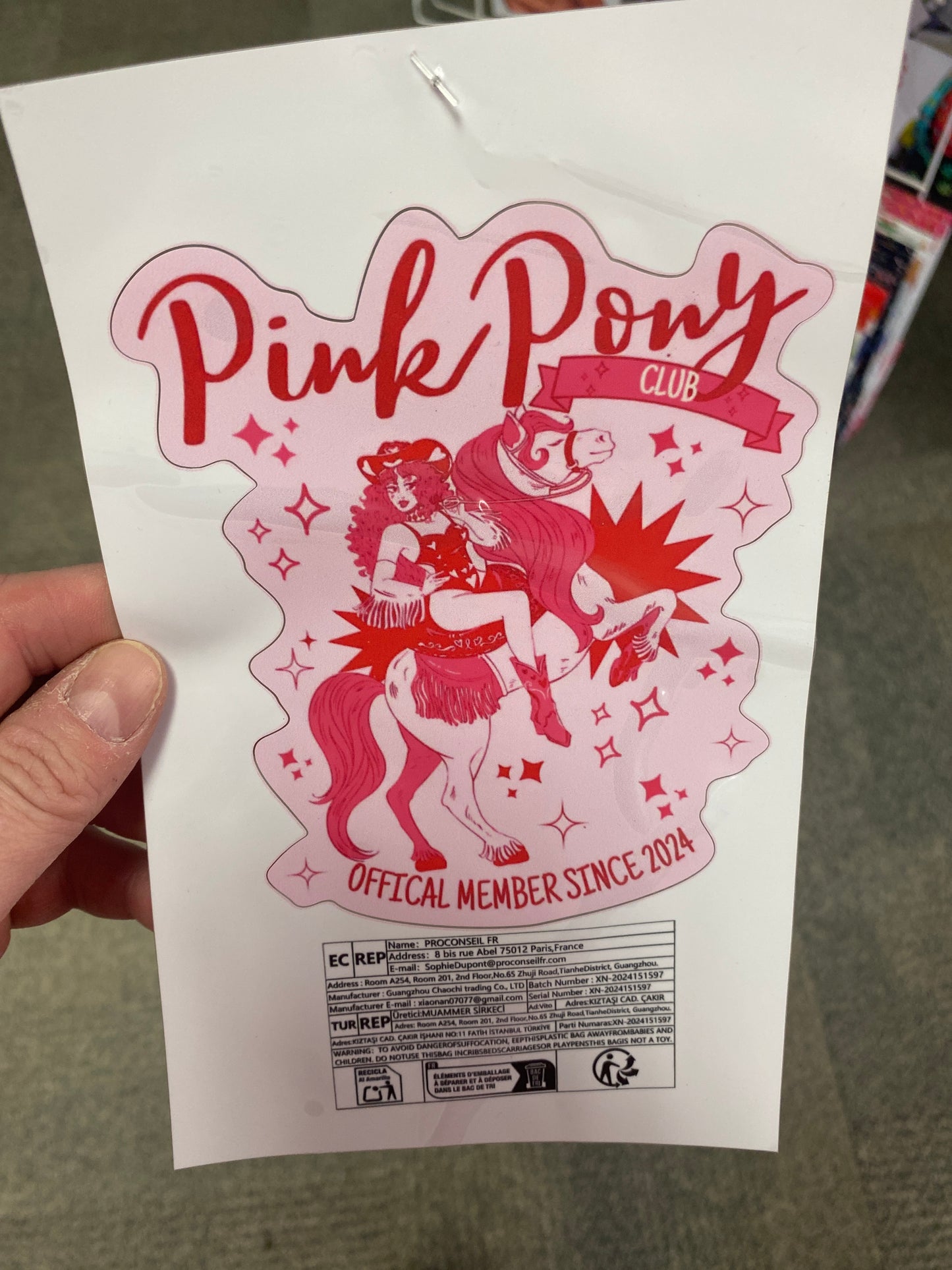 PINK PONY CLUB LARGE STICKER VINYL