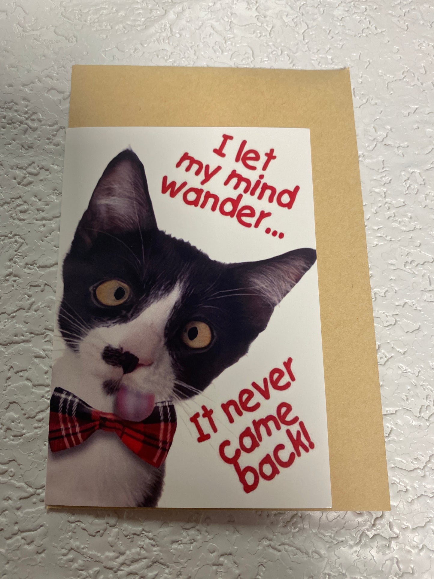CAT HUMOR GREETING CARD