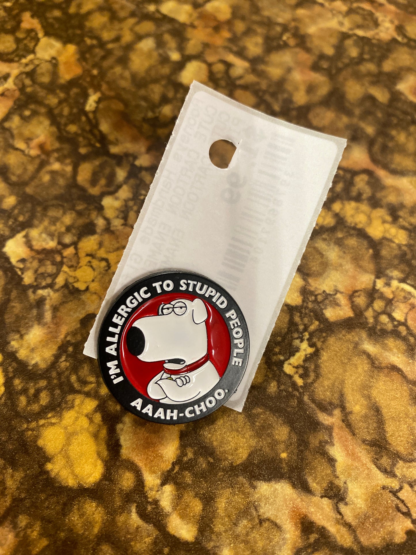 STUPID PEOPLE PIN