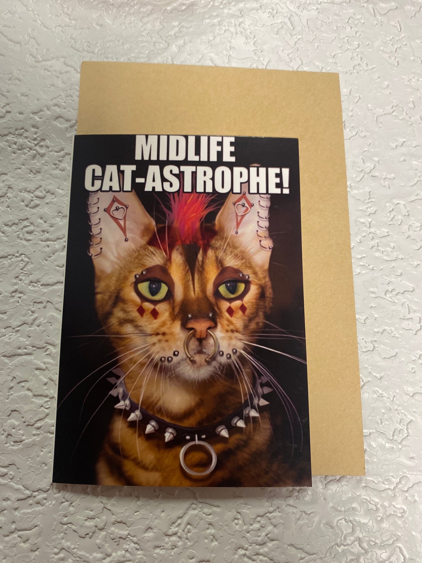 CAT HUMOR GREETING CARD