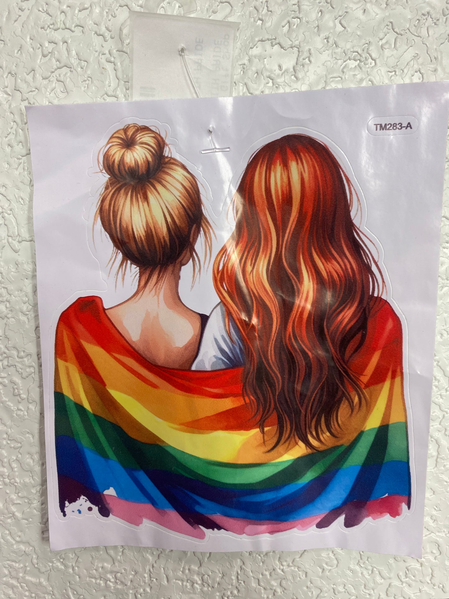 VINAL LESBIANS WITH PRIDE FLAG STICKER