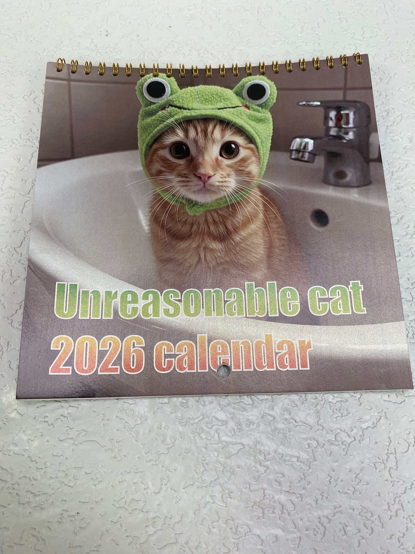 WHIMSICAL CAT CALENDER 2026