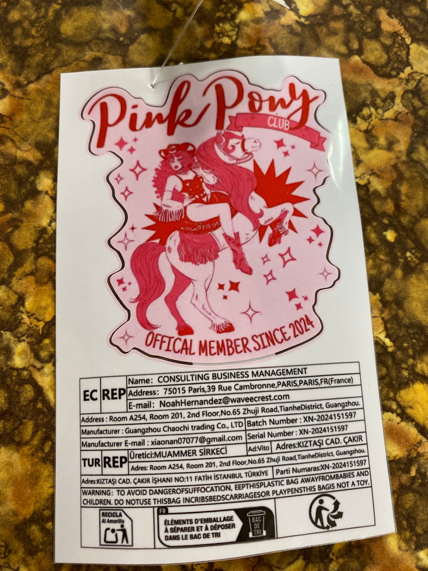 PINK PONY CLUB STICKER