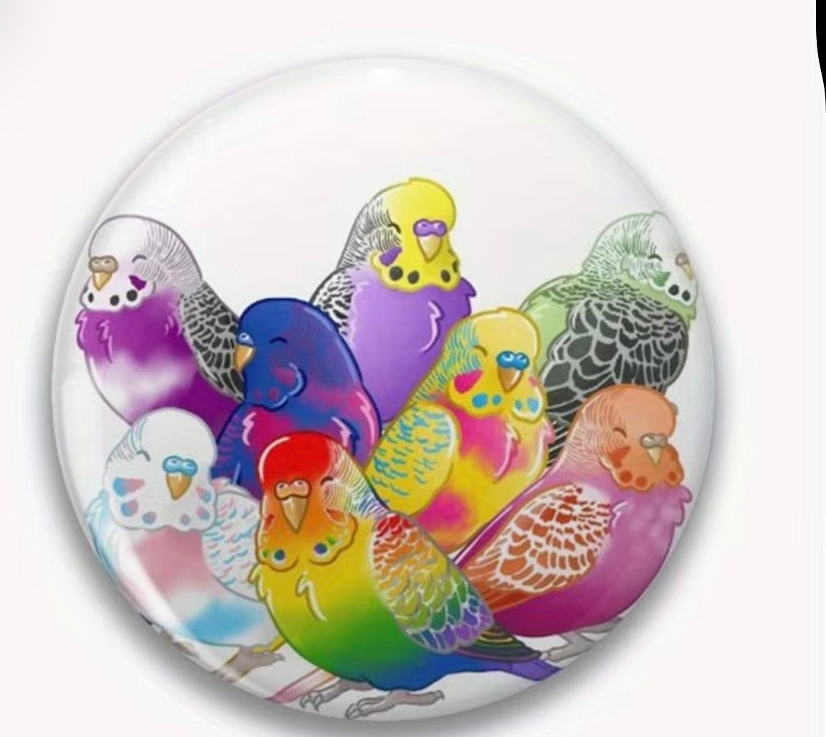 PRIDE FLAGS BIRDS BUTTON