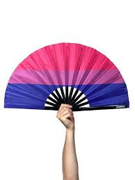 BI FLAG HAND FAN