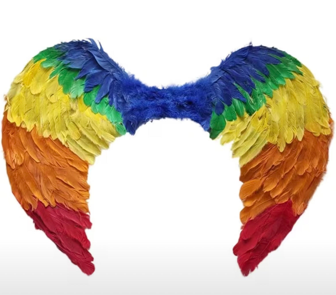 RAINBOW ANGEL WINGS