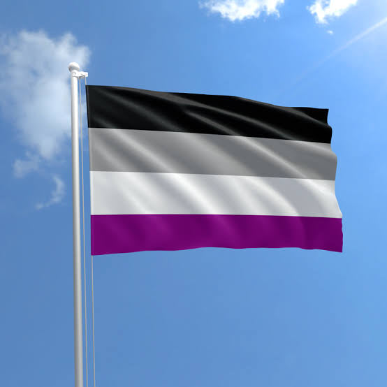 A SEXUAL PRIDE FLAG 3X5