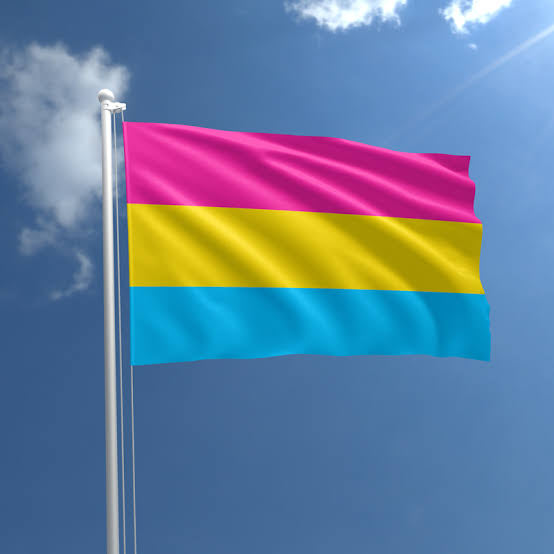 PAN PRIDE FLAG 3X5