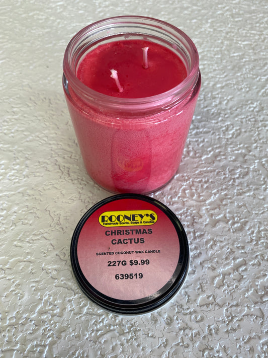 CHRISTMAS CACTUS CANDLE 227G
