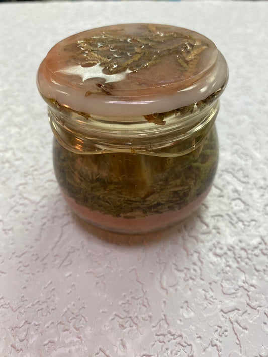 HERB INFUSED JAR WITH LID