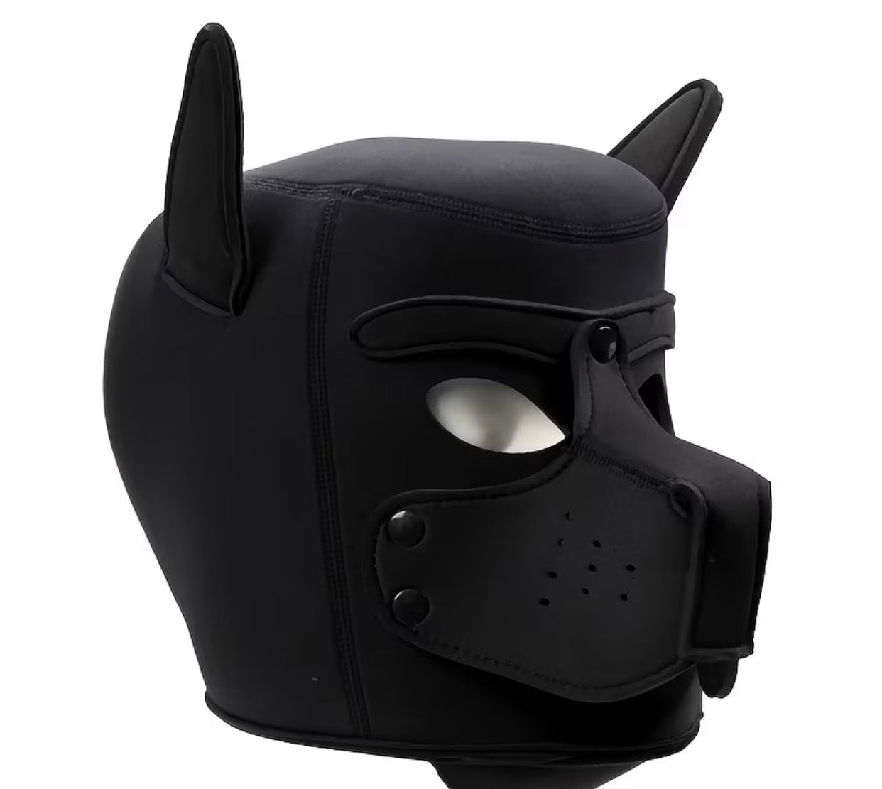 BLACK ADULT PUP MASK