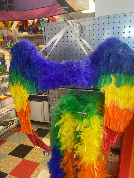 RAINBOW ANGEL WINGS