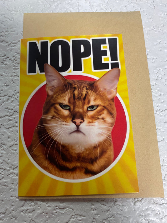 CAT HUMOR GREETING CARD