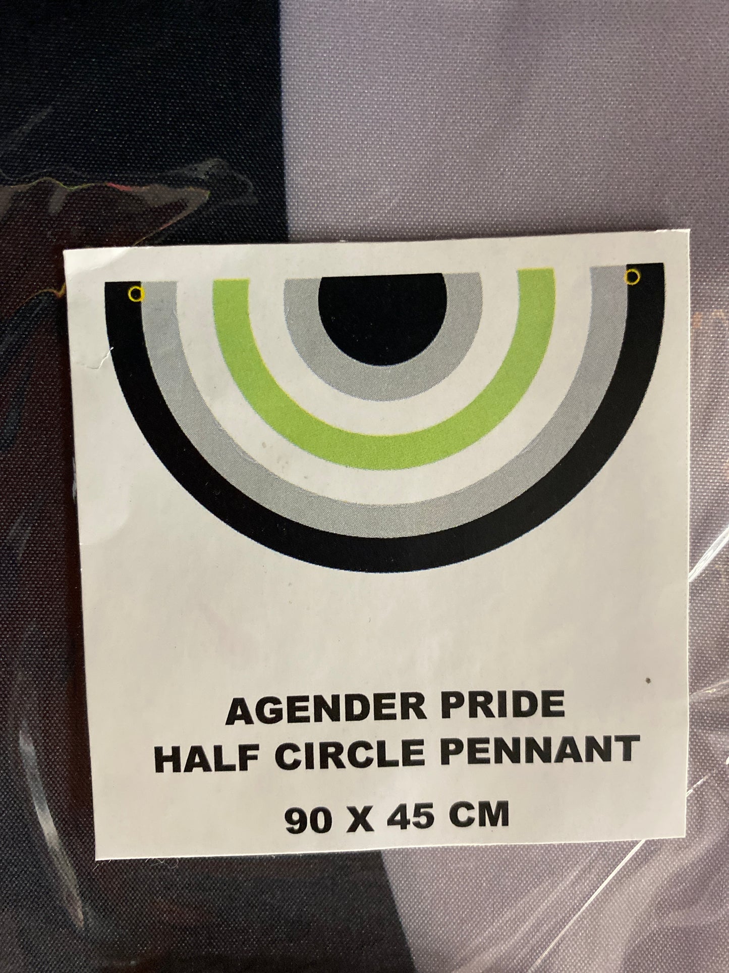 AGENDER PRIDE PENNANT
