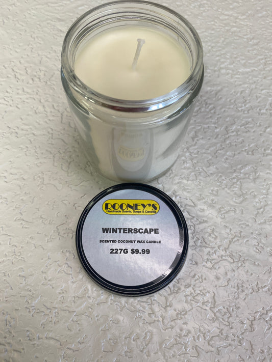 WINTERSCAPE 1 WICK CANDLE 227G