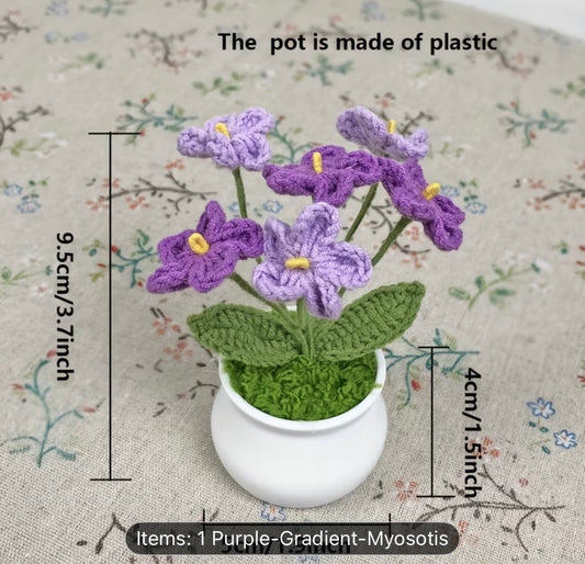 MINI PURPLE MYOSOTIS