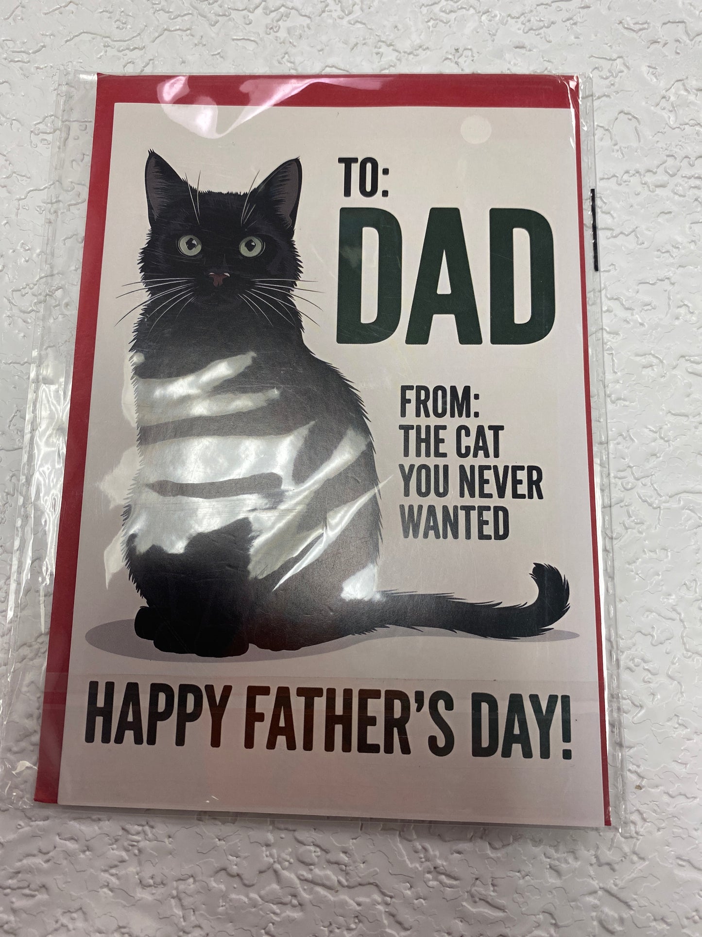 CAT DAD FATHERS DAY CARD