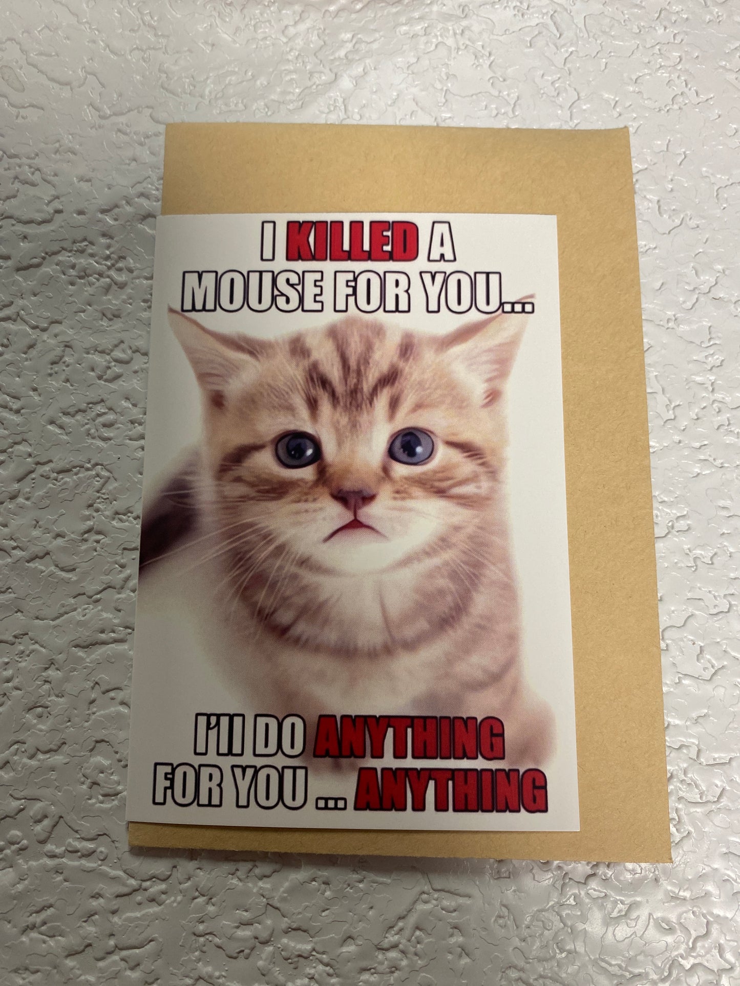 CAT HUMOR GREETING CARD