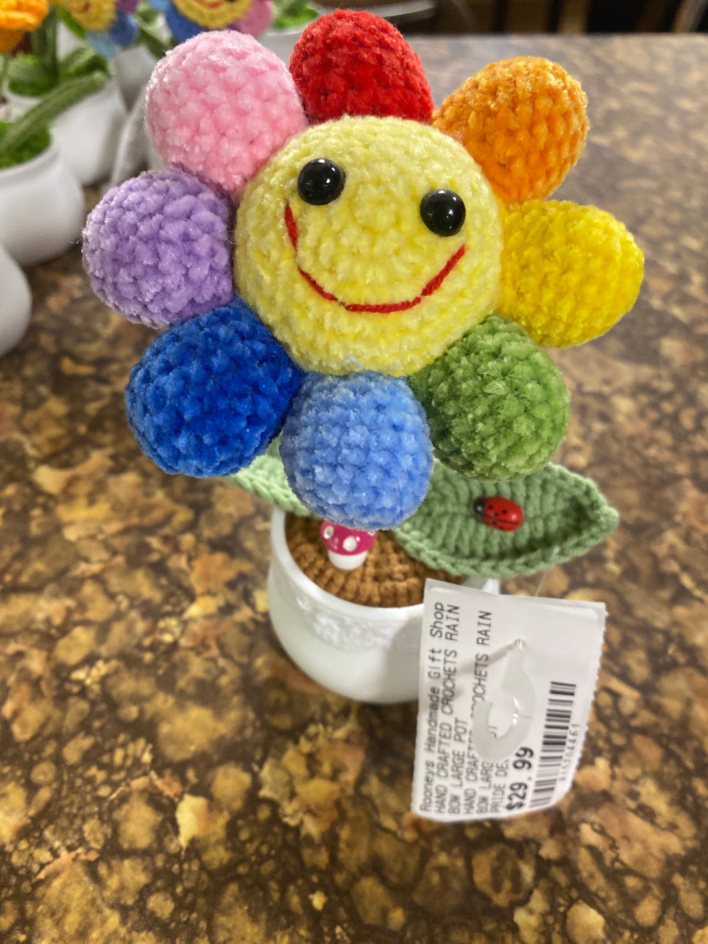 HAND CRAFTED CROCHETS RAINBOW LARGE POT