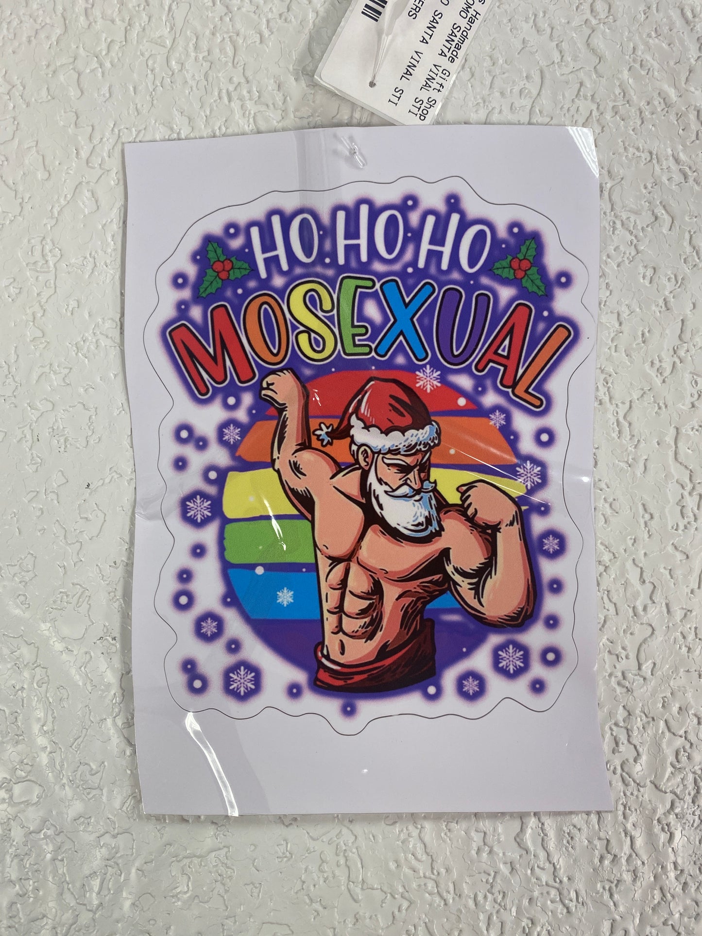 HO HO HOMO SANTA VINAL STICKER
