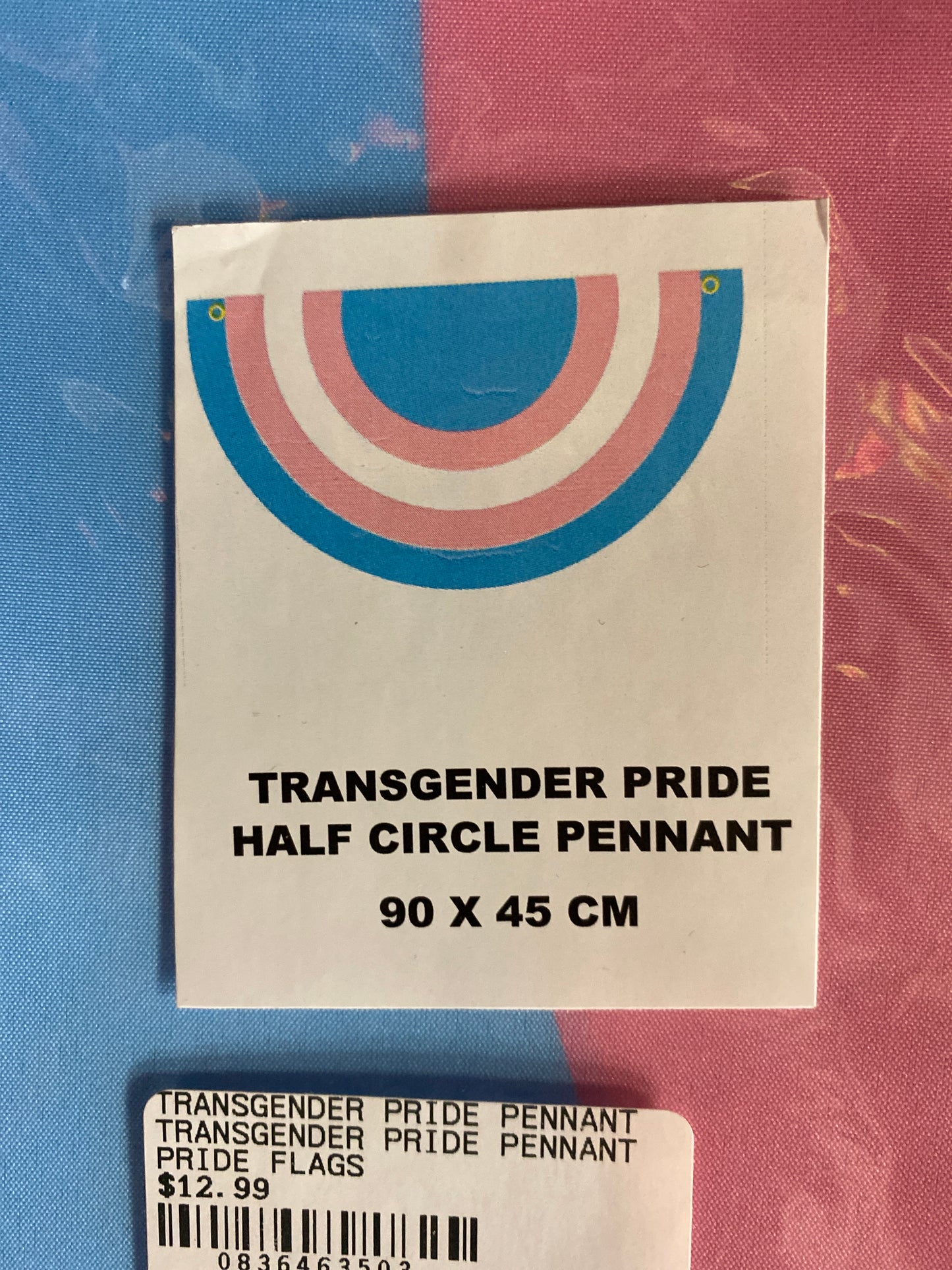 TRANSGENDER PRIDE PENNANT