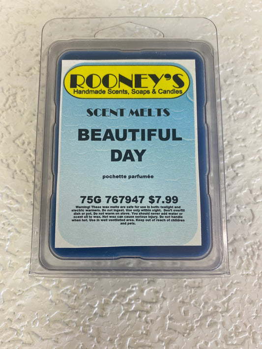 BEAUTIFUL DAY SCENT MELT