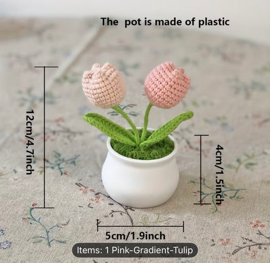 MINI PINK TUILIP