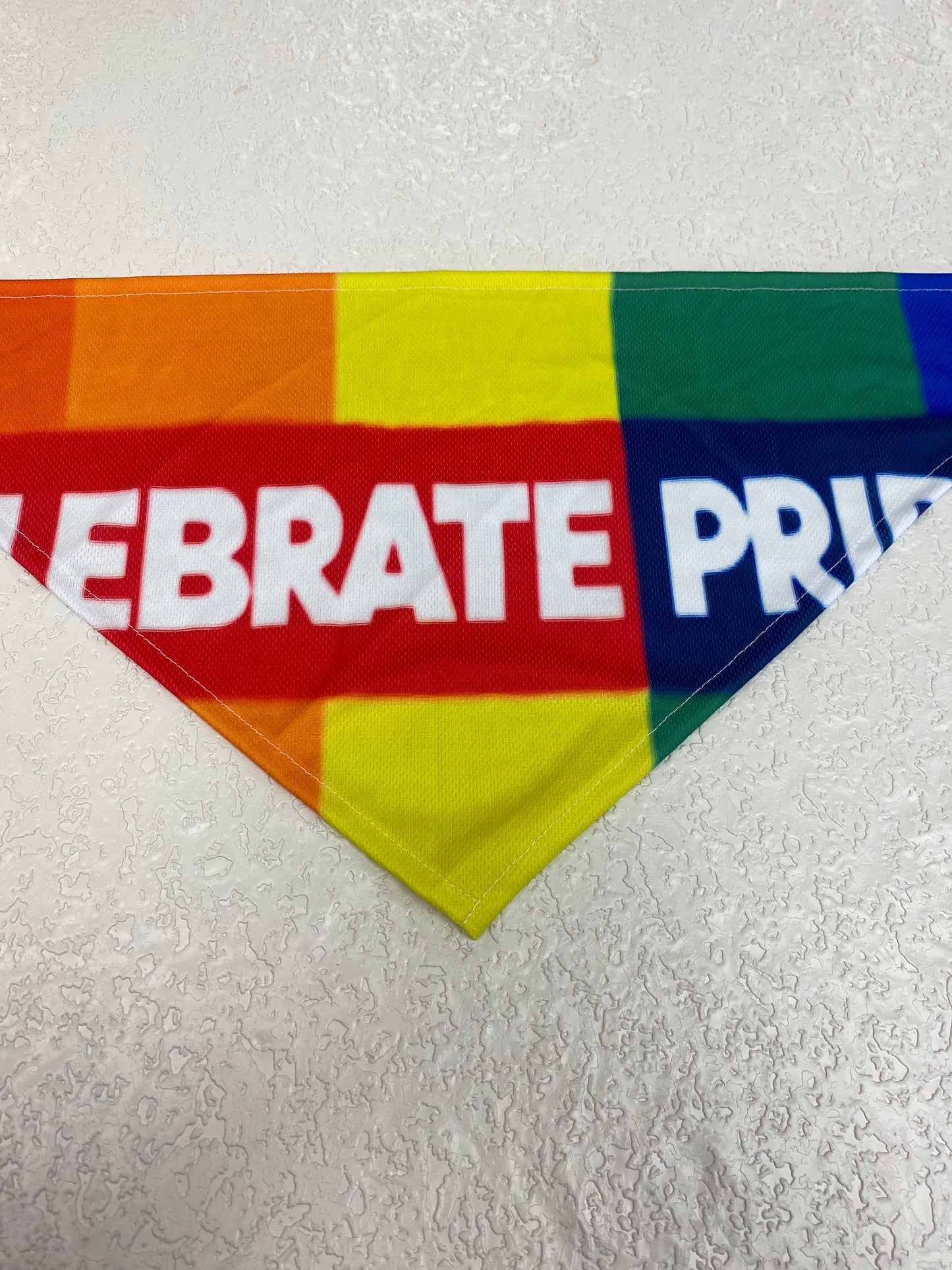 PRIDE BANDANA LARGE
