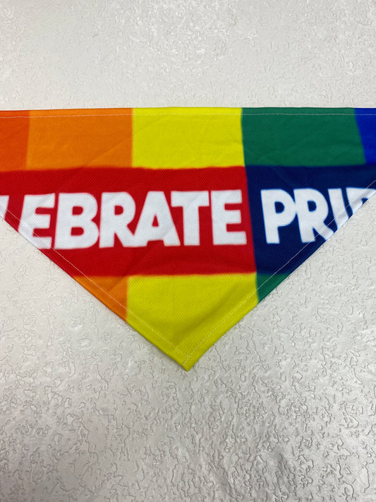 PRIDE BANDANA LARGE