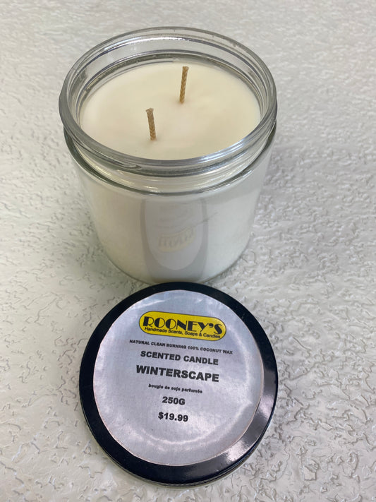 WINTERSCAPE 2 WICK CANDLE 250G