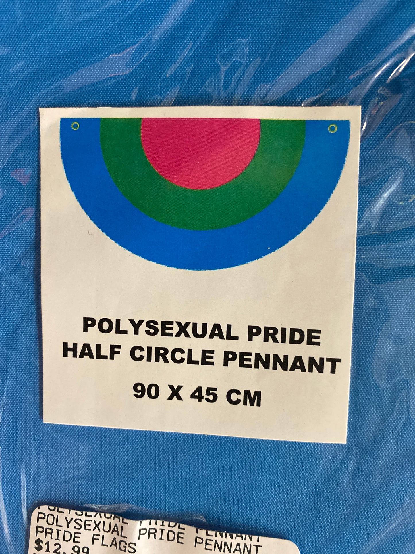 POLYSEXUAL PRIDE PENNANT