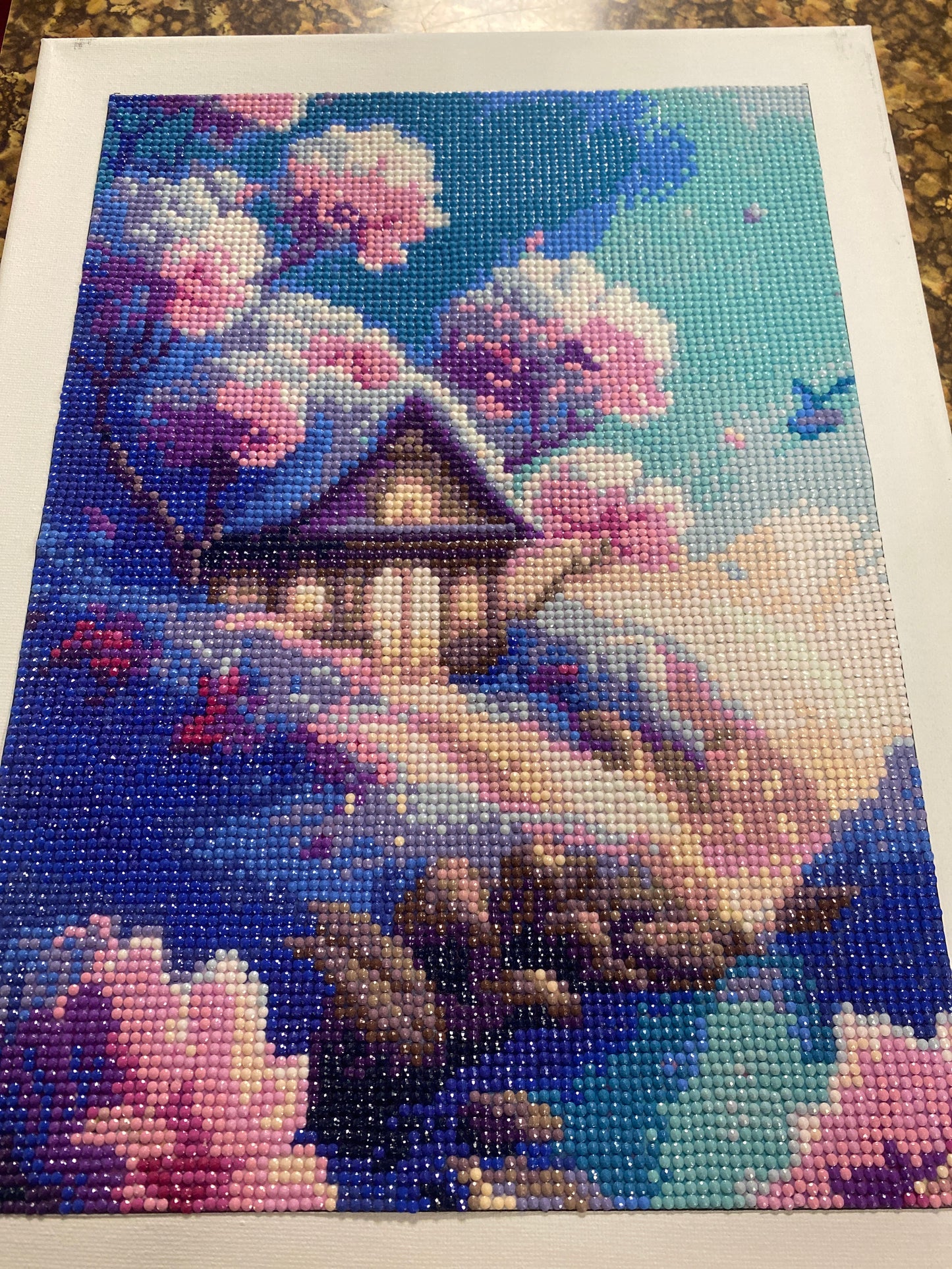 DIAMOND PAINTING HOUSE