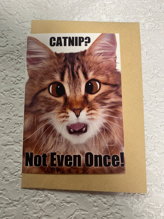 CAT HUMOR GREETING CARD