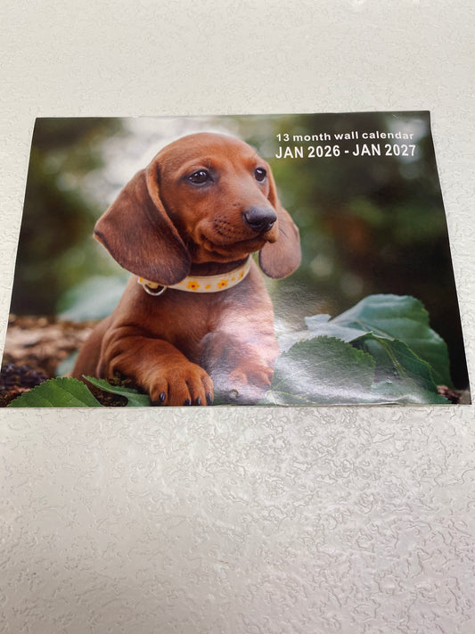 CUTE DOG WALL CALENDER 2026