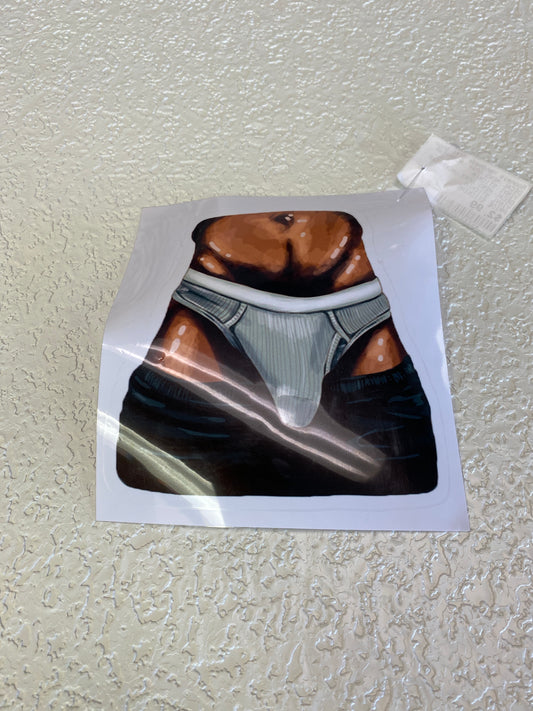 DECAL MENS GRAY UNDERWEAR VINYL STICKER
