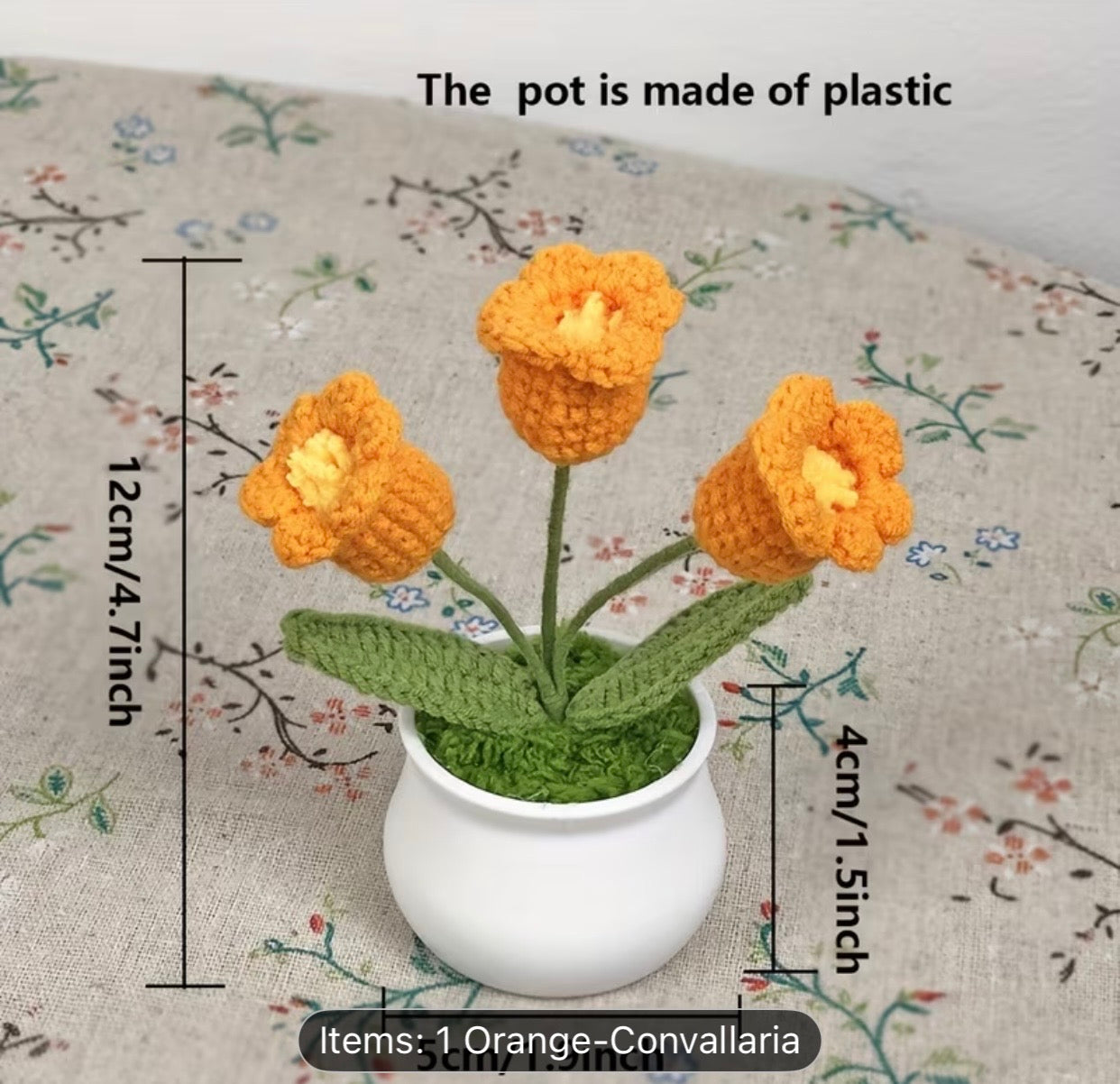 MINI ORANGE MYOSOTIS