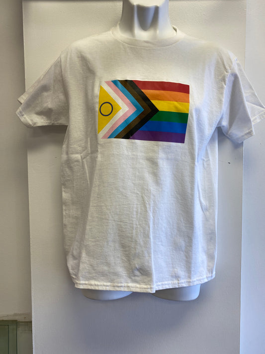 PROGRESS FLAG SHIRT YOUTH