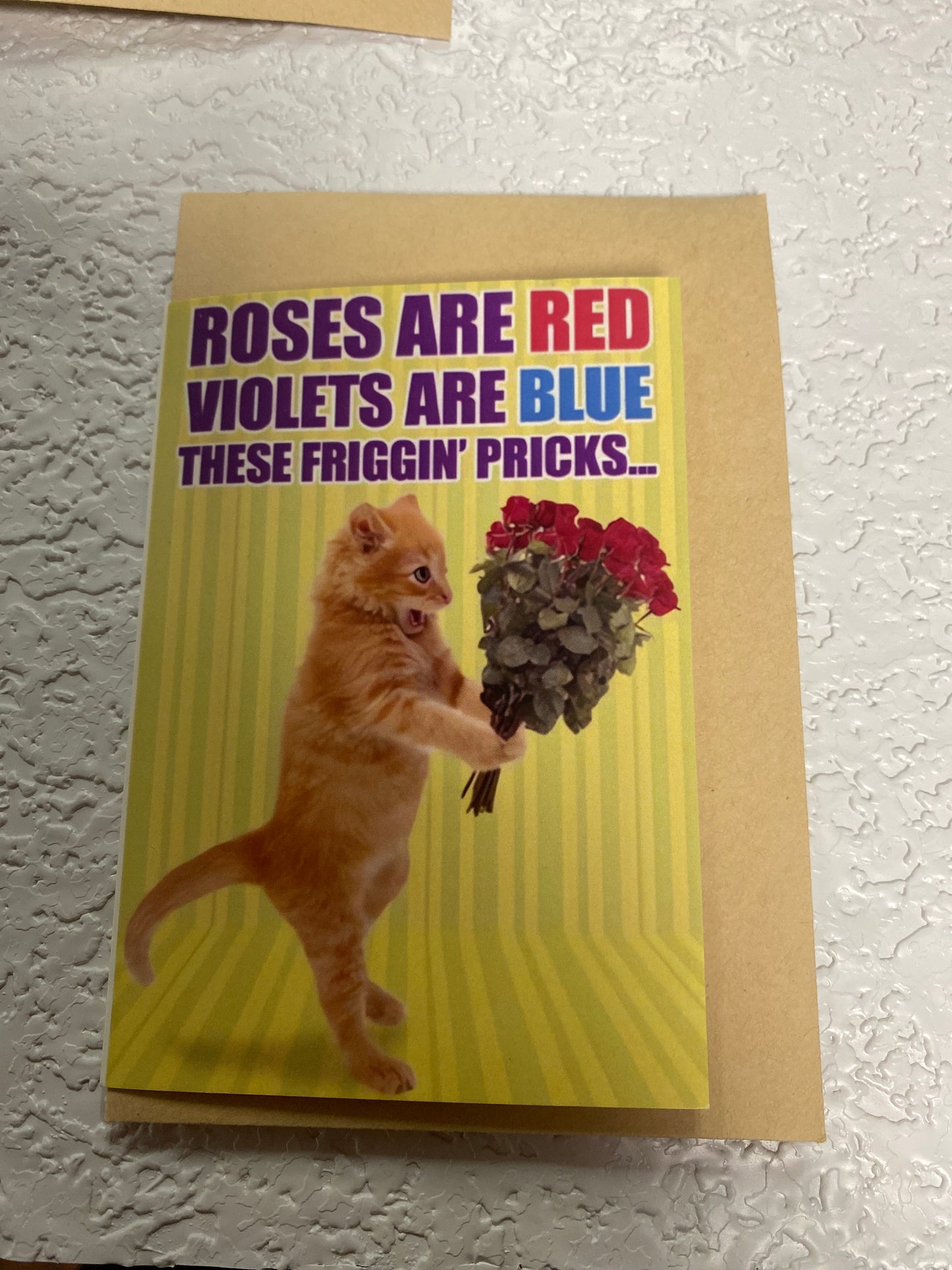 CAT HUMOR GREETING CARD