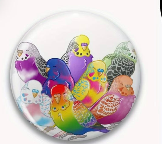 PRIDE FLAGS BIRDS BUTTON