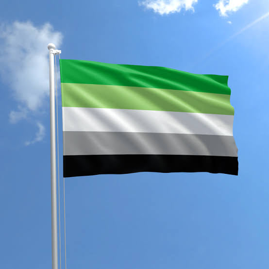 AROMANTIC PRIDE FLAG 3X5
