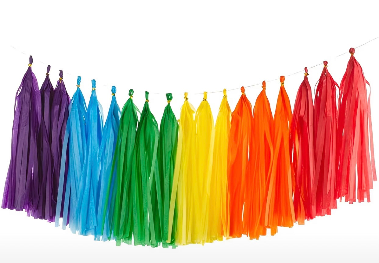 RAINBOW PAPER TASSEL 30PC