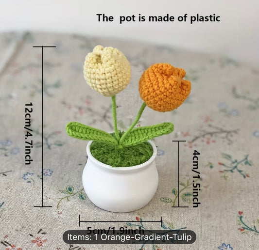 MINI ORANGE TUILIP