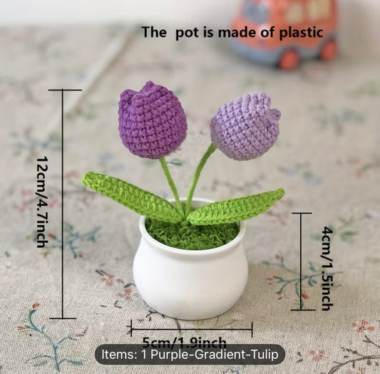 MINI PURPLE TUILIP