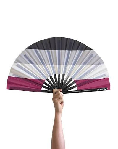 ASEXUAL FLAG FAN