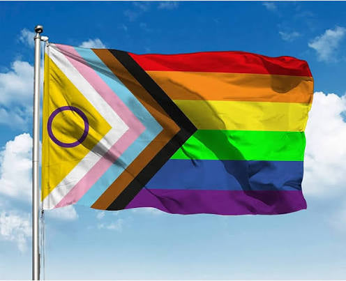 NEW PROGRESS PRIDE FLAG 4X6